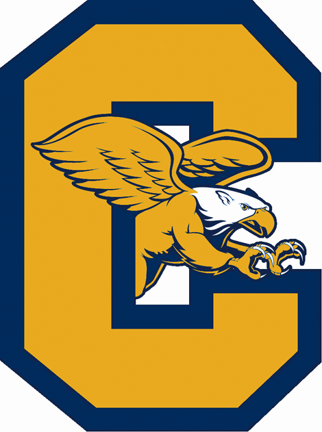 Canisius Golden Griffins 2006-Pres Alternate Logo diy fabric transfer